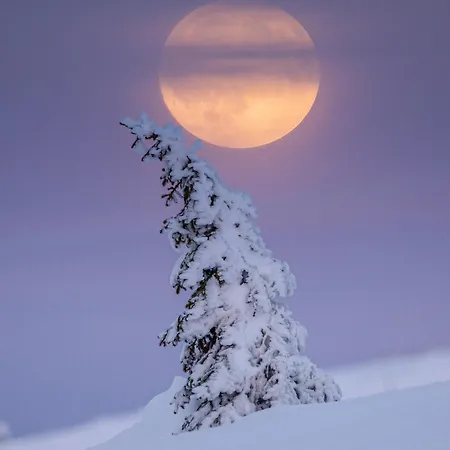 Anristar Chalet Äkäslompolo